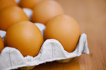 Image showing Agriculture, protein and eggs in carton for sustainable, organic food and reproduction with wellness. Diet, closeup and produce from livestock for nutrition, breakfast or healthy meal on table