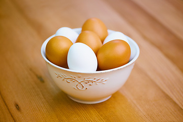Image showing Agriculture, food and eggs in bowl for sustainability, organic produce and reproduction with wellness. Diet, closeup and protein from livestock for nutrition, breakfast or healthy meal on table