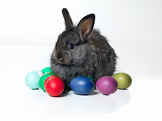 Image showing Easter, color eggs and bunny in studio on table for celebration, fun or paint on candy. Culture, tradition and rabbit with chocolate, sweets or hunt on Good Friday, festive event or Christian holiday