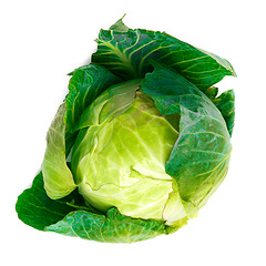 Image showing Studio, leaf and green cabbage vegetable for health, nutrition and freshness for eating or food. Fresh produce, consumables and organic meal for wellbeing, vitamins and antioxidants with protein