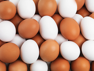 Image showing Food, easter and eggs with brown or white color for ingredients, breakfast or healthy protein. Natural, nutrition or diet of chicken produce, organic meal or snack above with full batch or collection