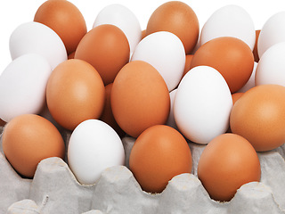 Image showing Food, easter and eggs with tray of brown or white color for ingredients, breakfast or healthy protein. Natural, nutrition or diet of chicken produce, organic meal or snack of full batch or collection