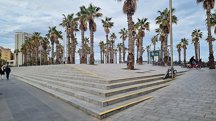 Image showing BARCELONA, SPAIN - APRILL 2, 2024: Palm trees line sidewalk