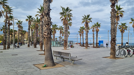 Image showing BARCELONA, SPAIN - APRILL 2, 2024: Palm trees and bench in Barceloneta