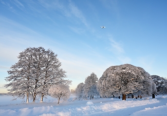 Image showing beautiful winter landscape in the park on a sunny day, airplane 