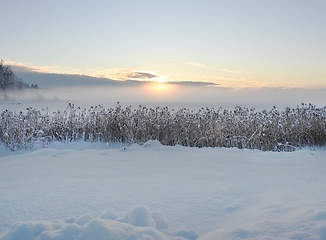 Image showing  sunset over the winter lake