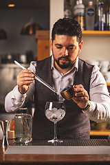 Image showing Professional bartender preparing a cocktail