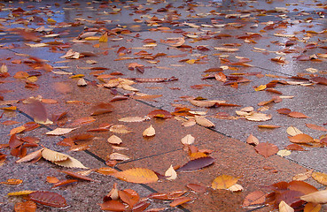 Image showing Autumn street