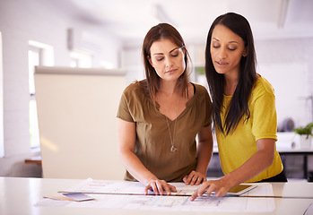 Image showing Architect, women and blueprint in discussion at office with reading, planning and building development. People, team and architecture for property, expansion or documents for project in collaboration