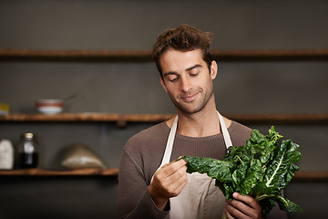 Image showing Kitchen, restaurant and man with spinach for cooking, service and chef skills for supper. Dining, cafeteria and person with vegetables, fresh ingredients and food meal prep for lunch or dinner
