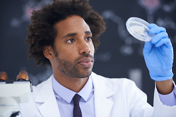 Image showing Science, microscope and man with sample in dish for test, medical research for chemistry results with lab technician. Biotech, laboratory and scientist with glass for analysis, investigation or exam