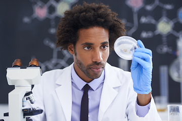 Image showing Science, microscope and man with sample in glass for test, medical research for chemistry results with lab technician. Biotech, laboratory and scientist with dish for analysis, investigation or exam