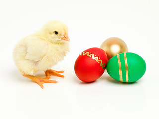 Image showing Isolated, chick and egg for easter in studio or traditional, decorative and festive or religious holiday. Wrapped and creative treats or cultural symbolic bird or good Friday on white background