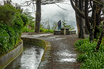 Image showing beautiful Madeira landscape