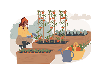 Image showing Growing vegetables isolated concept vector illustration.