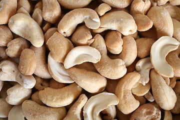 Image showing Salted cashew nuts