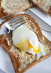 Image showing Poached egg on toast