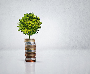 Image showing Closeup, studio and tree in coins for saving, budgeting and illustration of time value of money. Banking, change and growth of small investment, progress and profit in business by grey background