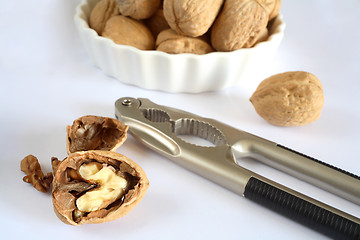 Image showing Nutcracker and walnuts