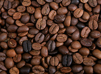 Image showing Blend of roasted coffee beans