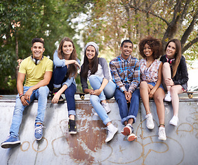 Image showing Happy, portrait and group of friends at skatepark for bonding, skating and sitting together. Smile, diversity and face of young people with skateboard for practice or training for competition.