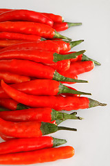 Image showing Red chillies