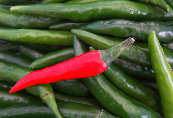 Image showing Green chillies with one red chilli