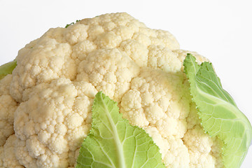 Image showing Cauliflower close-up