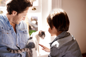 Image showing Pet, cat or father with child in home, house or apartment together for support, care or love by window. England, brush or dad bonding with kid, boy or kitten on a family vacation, holiday or relax