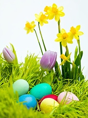 Image showing Easter, flowers and eggs on grass in studio for celebration, kids fun and creative with candy. Culture, tradition and chocolate on lawn with color for hunt Good Friday, festive and christian holiday
