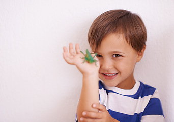 Image showing Child, learning and happy portrait with insect in hand with for science education and study. Kid, check and observe bug in inspection on studio background for biology, knowledge and development