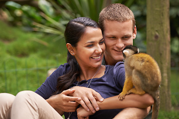 Image showing Monkey, animal and park with happy couple together for wildlife rescue, outdoor activity or interactive experience in nature. Conservation, date and people for bonding, holiday or travel at sanctuary