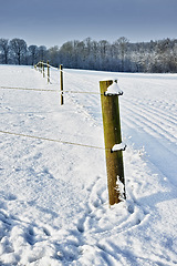 Image showing Winter, landscape or fence with nature or snow on frozen morning for weather, climate or cold season. Alaska, roadside or wild plants in woods for ecosystem background, environment or natural habitat
