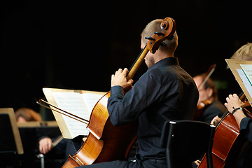Image showing Person, violin and live music for event, concert and orchestra together with talent, professional. People, entertainment and cello notes for performance and stage indoors, art and hand for melody