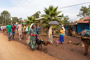 Image showing Ordinary Ethiopian woman on the street of Mankusa, Ethiopia