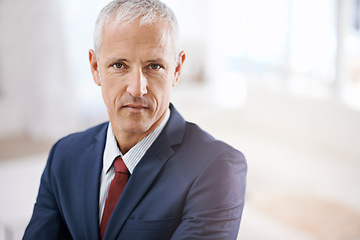 Image showing Office, portrait and mature businessman, ceo or senior manager at corporate startup with mockup. Trust, confidence and face of business owner, boss or entrepreneur at professional agency with pride