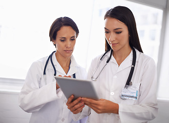 Image showing Hospital, women or doctors with tablet, advice and checking results online for healthcare in lobby. Consulting, research and professional medical team on digital app for schedule, planning in clinic