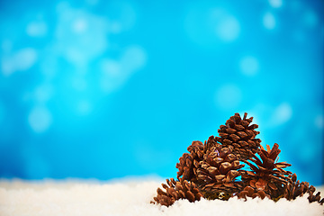 Image showing Studio, christmas and decoration with snow, pinecone and ice for holiday celebration. Ornament, plant and winter for frozen, symbol or tradition for vacation break and season cheer on blue background