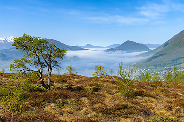 Image showing Serene morning view overlooking a misty valley from a mountainou