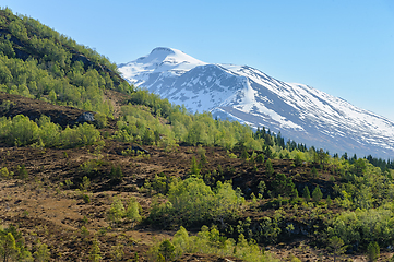Image showing Majestic snow-capped mountain overlooking a verdant springtime v