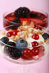 Image showing Healthy yogurts