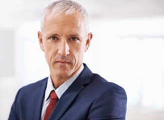 Image showing Politician, confidence and portrait of mature businessman, ceo or senior manager at government office. Leadership, mockup and face of business owner, entrepreneur or professional at agency with pride