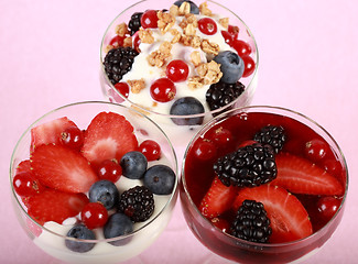 Image showing Healthy yogurts