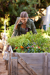 Image showing Happy woman, plants and harvest with crops or resources in agriculture, growth or natural sustainability of fresh produce. Female person or farmer with smile for vegetables, nutrition or production