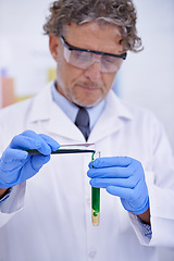 Image showing Scientist, chemical and results in laboratory, healthcare facility and chemistry for medical research. Test tube, science man and male doctor with sample for analysis, dna and forensic study