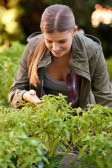 Image showing Happy woman, plants and harvest with agricultural growth for natural sustainability or eco friendly environment. Female person or farmer with smile for fresh produce, vegetables or recourses of crops