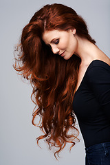 Image showing Woman, haircare and healthy with treatment in studio on grey background with satisfied look and confidence. Red hair, female person and wellness with conditioner for routine, repair and fresh