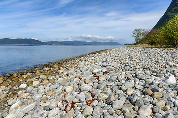 Image showing Serene seaside pebble beach on a sunny day with distant mountain