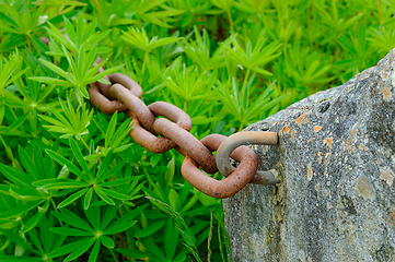 Image showing Rusty chain links emerge from a stone in lush greenery on a humi