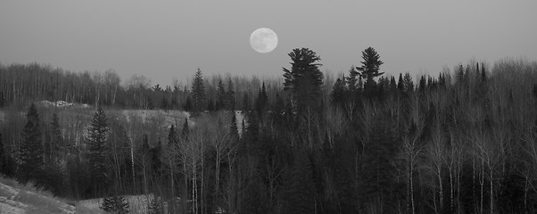 Image showing Full Moon Over Forested Hills
